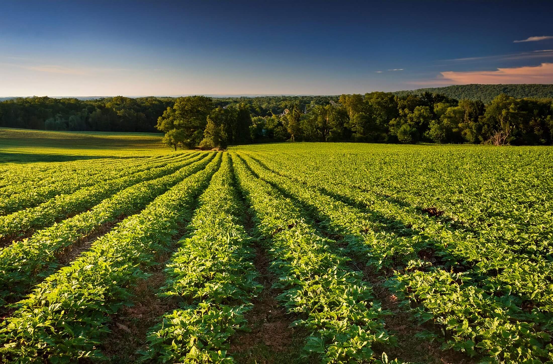 Why composting works for you